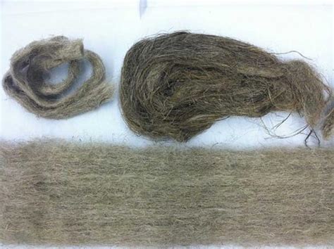  Nettle Fiber: Unraveling the Sustainable Secrets of this Ancient Textile Gem!