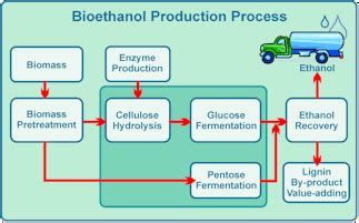  Melasse: Een zoete verleiding voor de bio-ethanol industrie en diervoederproductie!